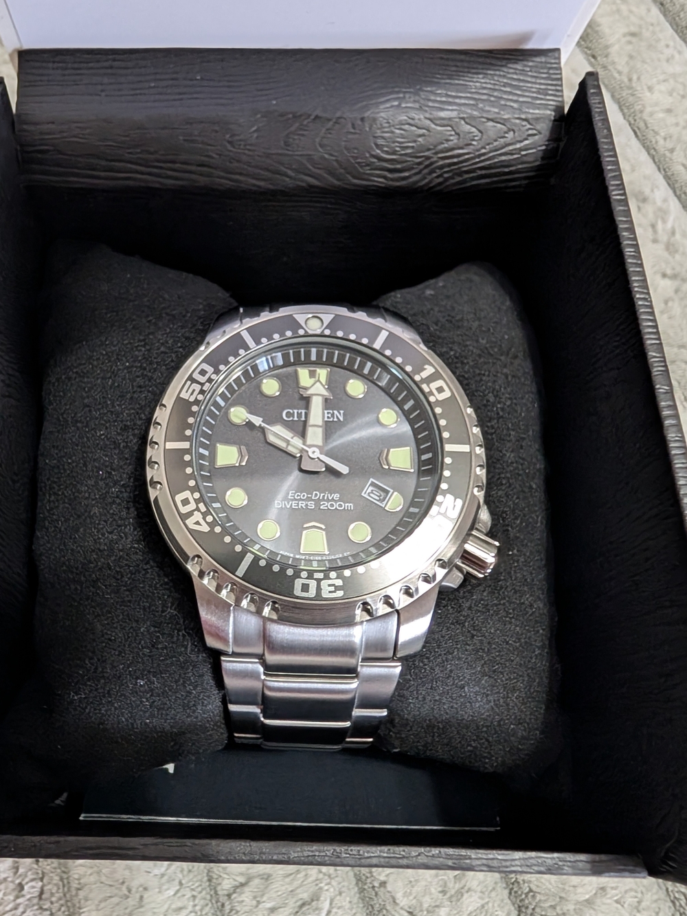 Citizen Promaster Dive Eco-Drive Watch